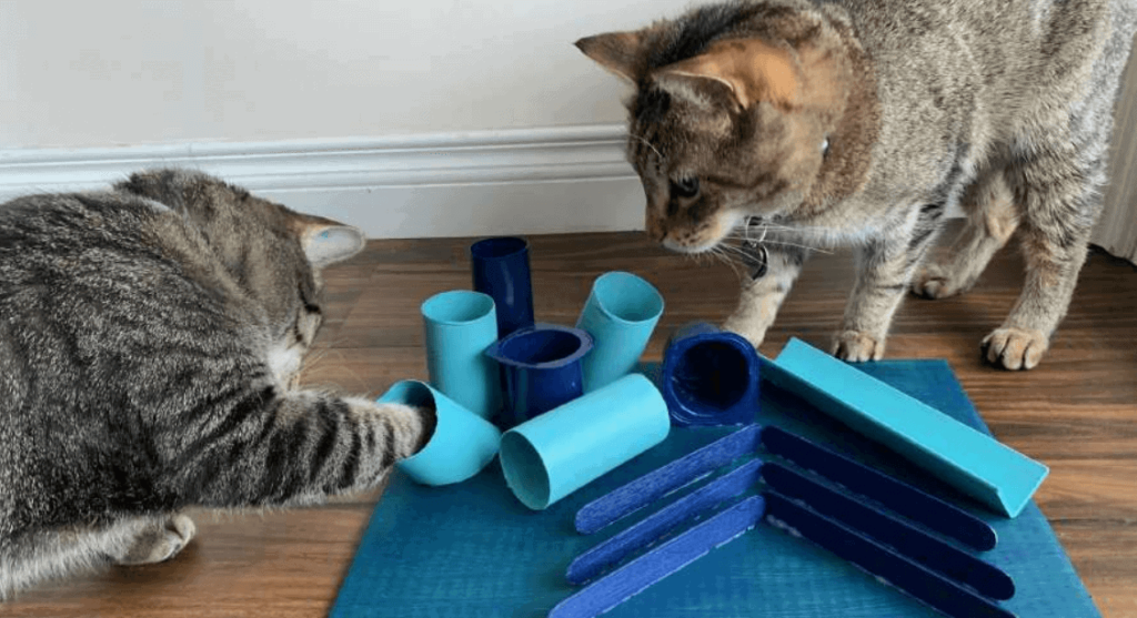 how to make cat toys